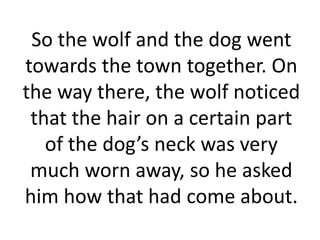 So the wolf and the dog went
towards the town together. On
the way there, the wolf noticed
 that the hair on a certain part
   of the dog’s neck was very
 much worn away, so he asked
him how that had come about.
 