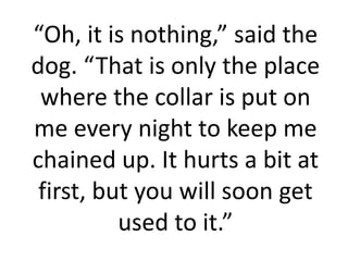 “Oh, it is nothing,” said the
dog. “That is only the place
 where the collar is put on
me every night to keep me
chained up. It hurts a bit at
 first, but you will soon get
          used to it.”
 