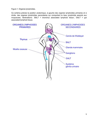 9
Figure 1. Organes lymphoïdes.
Ce schéma précise la position anatomique, à gauche des organes lymphoïdes primaires et à
droite, des organes lymphoïdes secondaires qui comportent le tissu lymphoïde associé aux
muqueuses. Abréviations : BALT = bronchus associated lymphoid tissue ; GALT = gut
associated lymphoid tissue.
 