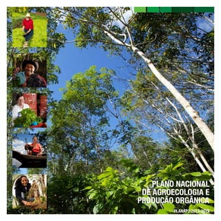 PLANO NACIONAL
DE AGROECOLOGIA E
PRODUÇÃO ORGÂNICA
PLANAPO 2013-2015

 