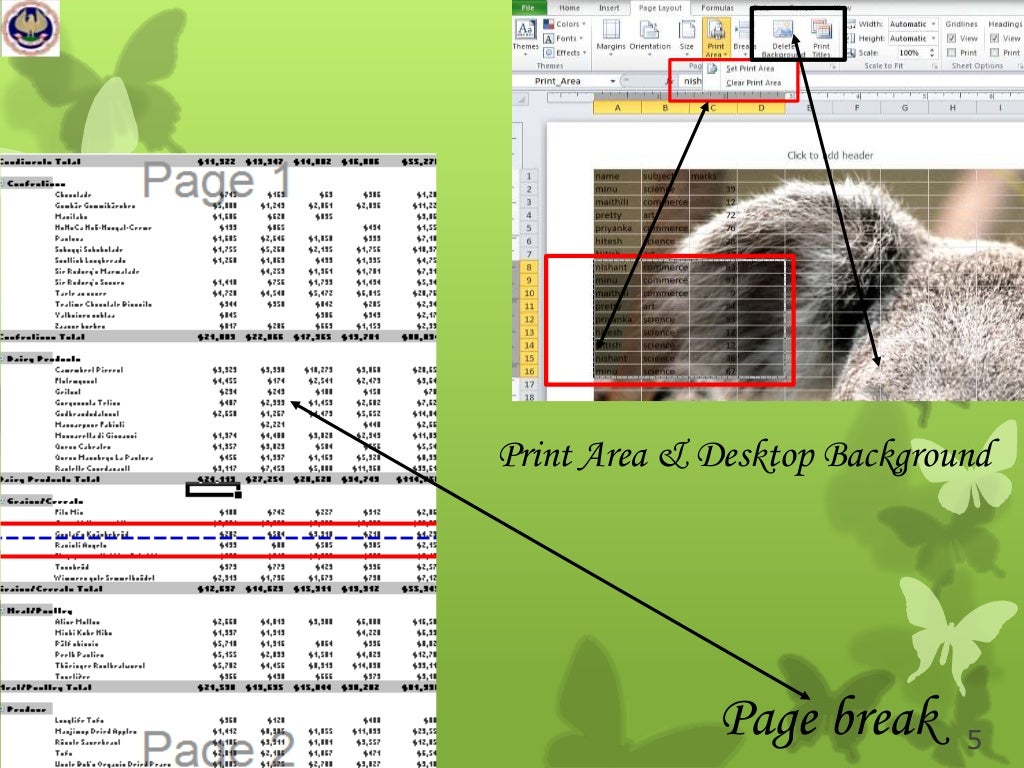 Pagelayout & data tab of ms excel 2010