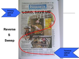 Primary
  optical
  area




Reverse
  S
Sweep


            Terminal
            optical
            area
 