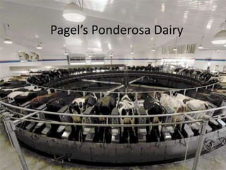 Pagel’s Ponderosa Dairy 