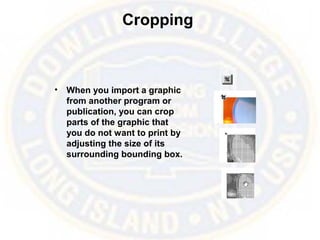 Cropping
• When you import a graphic
from another program or
publication, you can crop
parts of the graphic that
you do not want to print by
adjusting the size of its
surrounding bounding box.
 