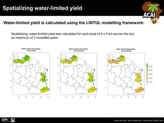 Spatializing water-limited yield
www.iita.org | www.cgiar.org | www.acai-project.org
Water-limited yield is calculated using the LINTUL modelling framework:
Spatializing: water-limited yield was calculated for each pixel of 5 x 5 km across the AoI,
as maximum of 3 modelled years:
 