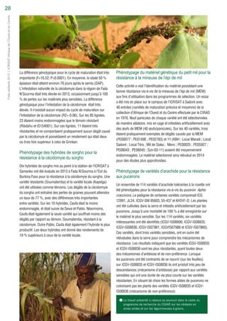 Steady backroom work underpins breakthrough crop science (French)