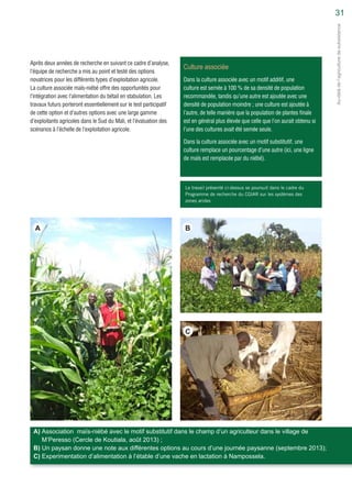 Exploring intensification options for mixed crop-livestock farms in southern Mali (French)