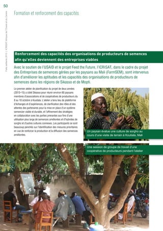 Renforcement des capacités des organisations de producteurs de semences
afin qu’elles deviennent des entreprises viables
Avec le soutien de l’USAID et le projet Feed the Future, l’ICRISAT, dans le cadre du projet
des Entreprises de semences gérées par les paysans au Mali (FarmSEM), sont intervenus
afin d’améliorer les aptitudes et les capacités des organisations de producteurs de
semences dans les régions de Sikasso et de Mopti.
Formation et renforcement des capacités
Le premier atelier de planification du projet de deux années
(2013–15) a ciblé Sikasso pour réunir environ 60 paysans
membres d’associations et de coopératives de producteurs du
8 au 10 octobre à Koutiala. L’atelier a tenu lieu de plateforme
d’échanges et d’expériences, de clarification des rôles et des
attentes des partenaires pour la mise en place d’un système
semencier viable et durable, et l’affinement des stratégies
en collaboration avec les parties prenantes aux fins d’une
utilisation plus large de semences améliorées et d’hybrides de
sorgho et d’autres cultures connexes. Les participants se sont
beaucoup penchés sur l’identification des mesures prioritaires
en vue de renforcer la production et la diffusion des semences
améliorées.
Un paysan évalue une culture de sorgho au
cours d’une visite de terrain à Koutiala, Mali
Une session de groupe de travail d’une
coopérative de producteurs pendant l’atelier
Faitssaillants2013|ICRISATAfriquedel’OuestetduCentre50
 