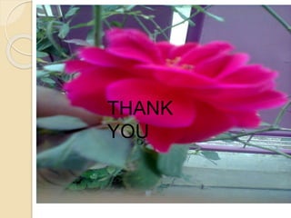 THANK YOU
THANK
YOU
 