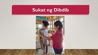 Sukat ng Dibdib
 