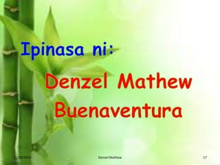 11/29/2016 Denzel Mathew 17
 