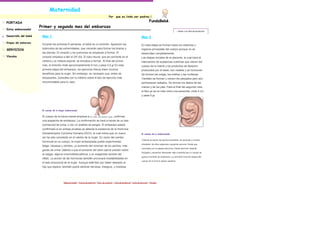 Maternidad
                                                                                               Por      que es lindo ser padres.!

PORTADA                                                                                                                                        FundaBebè.
                      Primer y segundo mes del embarazo
Estoy embarazada!
                                                                                                                                                                          < Volver a la lista de productos

Desarrollo del bebé    Mes 1                                                                                                          Mes 2
Etapas del embarazo
                       Durante las primeras 8 semanas, el bebé es un embrión. Aparecen los                                            En esta etapa se forman todos los sistemas y
SERVICIOS              botoncitos de las extremidades, que crecerán para formar los brazos y                                          órganos principales del cuerpo aunque no se
                       las piernas. El corazón y los pulmones se empiezan a formar. El                                                desarrollan completamente.
Vínculos               corazón empieza a latir el 25º día. El tubo neural, que se convierte en el                                     Las etapas iniciales de la placenta, la cual hace el
                       cerebro y la médula espinal, se empieza a formar. Al final del primer                                          intercambio de sustancias nutritivas que vienen del
                       mes, el embrión mide aproximadamente 9 mm y pesa 0,5 gr En esta                                                cuerpo de la mamá y los productos de desecho
                       primera etapa del embarazo, los ejercicios físicos traen muchos                                                producidos por el bebé, son visibles y ya funcionan.
                       beneficios para la mujer. Sin embargo, es necesario que, antes de                                              Se forman las orejas, los tobillos y las muñecas.
                       empezarlos, consultes con tu médico sobre el tipo de ejercicio más                                             También se forman y crecen los párpados pero aún
                       recomendable para tu caso.                                                                                     permanecen sellados. Se forman los dedos de las
                                                                                                                                      manos y de los pies. Para el final del segundo mes,
                                                                                                                                      el feto ya se ve más como una personita, mide 4 cm
                                                                                                                                      y pesa 5 gr.




                       El cuerpo de la mujer embarazada

                       El cuerpo de la futura mamá empieza a enviar señales que confirman
                       una sospecha de embarazo. La confirmación se hará a través de un test
                       (comercia)l de orina, o con un análisis de sangre. El embarazo estará
                       confirmado si en ambas pruebas se detecta la existencia de la Hormona
                       Gonadotropina Coriónica Humana (GCH), la cual indica que un nuevo                                              El cuerpo de la embarazada
                       ser ha sido concebido en el vientre de la mujer. En razón del cambio
                                                                                                                                      Todavía se siente los pechos sensibles; los pezones y el área
                       hormonal en su cuerpo, la mujer embarazada puede experimentar
                                                                                                                                      alrededor de ellos empiezan a ponerse oscuros. Puede que
                       fatiga, náuseas y vómitos, un aumento del volumen de los pechos, más
                                                                                                                                      continúes con la náusea matutina. Puede sentirse también
                       ganas de orinar (debido a que el aumento del útero ejerce presión sobre
                                                                                                                                      fatigada y necesitar descansar más a medida que tu cuerpo se
                       la vejiga), alguna incomodidad pélvica, y un exagerado sentido del
                                                                                                                                      ajusta al estado de embarazo. La cantidad total de sangre del
                       olfato. La acción de las hormonas también provocará inestabilidades en
                                                                                                                                      cuerpo de la futura mamá, aumenta
                       el lado emocional de la mujer. Aunque esté feliz por haber deseado al
                       hijo que espera, también podrá sentirse nerviosa, insegura, y miedosa.




                                          Página principal | Acerca de nosotros | Info. de contacto | Lista de productos | Lista de servicios | Vínculos
 