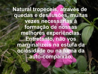 Natural tropeceis, através de quedas e desilusões, muitas vezes necessárias à formação de nossas melhores experiências. Entretanto, não vos marginalizeis na estufa da ociosidade ou na furna da auto-compaixão. 