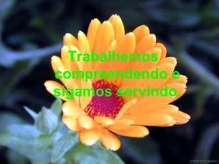 Trabalhemos compreendendo e sigamos servindo. 