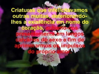 Criaturas que infelicitávamos outras muitas, deteriorando-lhes a existência em nome do coração,  achamo-nos presentemente em longos calvários do sexo a fim de aprimorarmos os impulsos do próprio amor. 