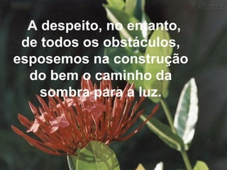 A despeito, no entanto, de todos os obstáculos, esposemos na construção do bem o caminho da sombra para a luz. 