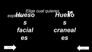 Regresar
Anterior
Elige cual quieres
explorar.
Hueso
s
facial
es
Hueso
s
craneal
es
 