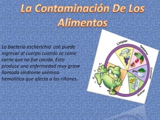 La bacteria escherichia coli puede
ingresar al cuerpo cuando se come
carne que no fue cocida. Esto
produce una enfermedad muy grave
llamada síndrome urémico
hemolítico que afecta a los riñones.

 