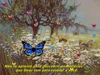 Não se apresse para descobrir os mistériosNão se apresse para descobrir os mistérios
que Deus tem para revelar a você.que Deus tem para revelar a você.
 