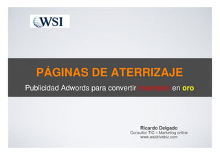 PÁGINAS DE ATERRIZAJE
Publicidad Adwords para convertir inventario en oro




                                    Ricardo Delgado
                               Consultor TIC – Marketing online
                                   www.wsidrivebiz.com
 