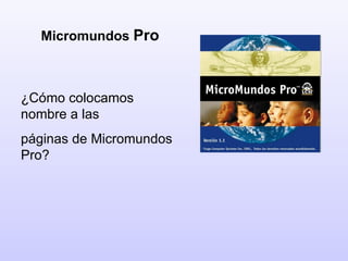 Micromundos  Pro ¿Cómo colocamos nombre a las páginas de Micromundos Pro? 