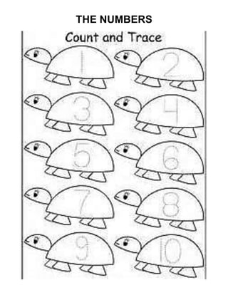 THE NUMBERS
 