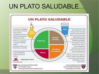 UN PLATO SALUDABLE…

 