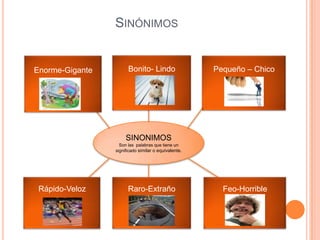 SINÓNIMOS


Enorme-Gigante         Bonito- Lindo                  Pequeño – Chico




                      SINONIMOS
                   Son las palabras que tiene un
                 significado similar o equivalente.




 Rápido-Veloz          Raro-Extraño                     Feo-Horrible
 