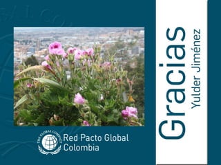 Pagina Web Pacto Global Colombia