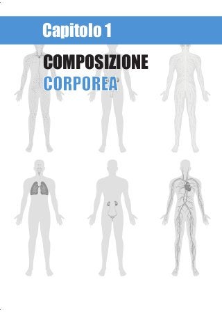 Capitolo 1
COMPOSIZIONE
CORPOREACORPOREA
 