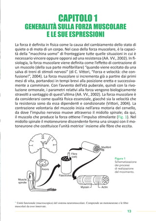 13
GENERALITÀ SULLA FORZA MUSCOLARE
E LE SUE ESPRESSIONI
La forza è definita in fisica come la causa del cambiamento dello stato di
quiete o di moto di un corpo. Nel caso della forza muscolare, è la capaci-
tà della “macchina uomo” di fronteggiare tutte quelle situazioni in cui è
necessario vincere oppure opporsi ad una resistenza (AA. VV., 2002). In fi-
siologia, la forza muscolare viene definita come l’effetto di contrazione di
un muscolo (della sua parte miofibrillare) “quando viene eccitato da una
salva di treni di stimoli nervosi” (di C. Vittori, “Forza e velocità: che con-
fusione!”, 2004). La forza muscolare si incrementa già a partire dai primi
mesi di vita, portandoci in tempi brevi alla posizione eretta e successiva-
mente a camminare. Con l’avvento dell’età puberale, quindi con la rivo-
luzione ormonale, i parametri relativi alla forza vengono biologicamente
stravolti a vantaggio di quest’ultima (AA. VV., 2002). La forza muscolare è
da considerarsi come qualità fisica essenziale, giacché sia la velocità che
la resistenza sono da essa dipendenti e condizionate (Vittori, 2004). La
contrazione volontaria del muscolo inizia nell’area motoria del cervello,
da dove l’impulso nervoso muove attraverso il midollo spinale; da qui,
il muscolo che produce la forza ottiene l’impulso stimolante (Fig. 1). Nel
midollo spinale il motoneurone discendente forma una sinapsi con il mo-
toneurone che costituisce l’unità motrice1
insieme alle fibre che eccita.
1
Unità funzionale (macroscopica) del sistema neuromuscolare. Comprende un motoneurone e le fibre
muscolari da esso innervate.
Figura 1
Schematizzazione
dei processi
di realizzazione
del movimento.
CAPITOLO 1
 