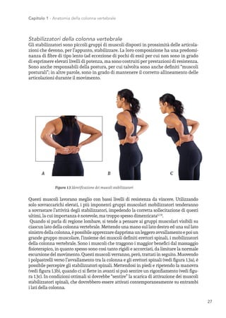 27
Capitolo 1 - Anatomia della colonna vertebrale
Stabilizzatori della colonna vertebrale
Gli stabilizzatori sono piccoli ...