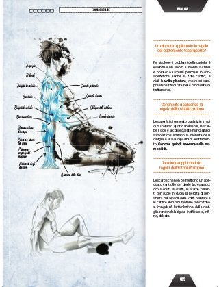 065
ELIMINAREILDOLORE ILDOLORE
Cominciate applicando la regola
del trattamento “sopra/sotto”
Per risolvere i problemi della caviglia è
essenziale un lavoro a monte su tibia
e polpaccio. Occorre prendere in con-
siderazione anche la zona “sotto”, e
cioè la volta plantare, che quasi sem-
pre viene trascurata nelle procedure di
trattamento.
Continuate applicando la
regola della mobilizzazione
Le superfici di cemento o asfaltate in cui
ci muoviamo quotidianamente, le scar-
pe rigide e la conseguente mancanza di
stimolazione limitano la mobilità della
caviglia e la sua capacità di adattamen-
to. Occorre quindi lavorare sulla sua
mobilità.
Terminate applicando la
regola della stabilizzazione
Le scarpe che non permettono un ade-
guato controllo del piede (ad esempio,
con laccetti slacciati), le scarpe pesan-
ti con suole in cuoio, la perdita di sen-
sibilità dei sensori della volta plantare e
le cattive abitudini motorie concorrono
a “congelare” l’articolazione della cavi-
glia rendendola rigida, inefficace e, infi-
ne, dolente.
Trapezio
Deltoide
Tricipite brachiale
Bicipite brachiale
Brachioradiale
Flessore ulnare
del carpo
Estensore ulnare
del carpo
Estensore
proprio del
mignolo
Retinacolo degli
estensori
Estensore delle dita
Grande dorsale
Obliquo dell’addome
Grande dentato
Grande pettorale
Brachiale
 