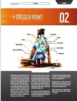 013
ITRIGGERPOINT ILDOLORE
ITRIGGERPOINT 02
013
Itriggerpointsonodellepiccolezonemusco-
lari che alla palpazione si presentano dolen-
ti, a volte fino a provocare una zona di dolo-
re più vasta che può coinvolgere anche altri
muscoli.Ècosìcheuntriggerpointnellazona
glutei può innescare dolori nella schiena.
La loro forma tipica è quella di un pisello o
di un pezzetto di spaghetto crudo. Si forma-
no in caso di impiego non abituale e/o non
idoneo di un muscolo durante movimenti o
attraverso posture. Le tensioni non omoge-
nee generate nel muscolo finiscono per pro-
durre delle zone di stress e di aderenza che
diventano spesso punti di dolore.
Per esempio, praticare ciclismo con una sel-
la troppo bassa compromette la postura dor-
sale,lacoppiaagonista/antagonistadeiqua-
dricipiti/ischio-cruraliesottoponeilmuscolo
psoas ad una eccessiva sollecitazione. Inol-
tre, le tensioni che si verranno a produrre a
livello del quadricipite saranno intermittenti
e disordinate, così da creare le condizioni per
l’insorgenza di trigger point.
Per comprendere gli effetti dei trigger point
sulmovimento,sipuòimmaginaredipassare
sui capelli di una bambina una spazzola che
si blocca subito su di un nodo.
A quel punto, anche il movimento di spazzo-
laresibloccaesiscegliediagirediversamen-
te, oppure di sciogliere il nodo.
Il trigger point è un nodo muscolare che
impedisce il corretto movimento e che spin-
geamodificarelaposturaoglischemimoto-
ri per mantenere l’efficienza fisica.
Travell e Simmons (1992, 1998) distinguono
i trigger point in attivi o passivi e in prima-
ri o secondari.
Deltoide Piccolorotondo
Trapezio
Granderotondo
Granderomboide
Grandedorsale
Tricipite
Obliquidell’addome
Granderettodell’addome
 