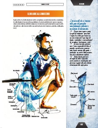057
ELIMINAREILDOLORE ILDOLORE
ILDOLOREALGINOCCHIO
Il ginocchio è un’articolazione molto complessa e anatomicamente complicata;
le sollecitazioni meccaniche quotidiane e la storia delle lesioni spesso causano
dolore alla struttura dell’articolazione e lo rendono particolarmente esposto all’o-
steoartrosi e alle lesioni delle sue parti più piccole (menisco, patella, cartilagine,
ecc.).ecc.).
I tessuti molli che si trovano
nella zona del ginocchio
sono fortemente sollecitati e
necessitano di rilassamento.
 Occorre tenere sempre a mente
la regola del trattamento “sopra/sotto”:
l’origine di un dolore può trovarsi sia
nei vicini ischiocrurali (capo lungo del
bicipite, semitendinosi e semimembranosi)
che nei polpacci (gastrocnemio e soleo).
 La catena muscolare posteriore
non è l’unica responsabile del dolore al
ginocchio e quindi occorre esaminare
anche la parte anteriore della gamba: i
quadricipiti, ma anche il tibiale anteriore,
sono spesso indirettamente implicati.
 Anche il bacino può essere
all’origine del dolore al ginocchio:
occorre prendere in considerazione tutti
gli esercizi suggeriti nella parte dedicata
al trattamento della sinﬁsi pubica.
Gastrocnemio
Retto femorale
Sartorio
Vasto mediale
Vasto laterale
Tendine rotuleo
(parziale)
Peroneo lungo
Estensore lungo
delle dita
del piede
Tibiale anteriore
Vastolaterale
Mediogluteo
Grandegluteo
Gastrocnemio
Gastrocnemio
Peroneolungo
Tensoredella
fascialata
Estensorelungo
delleditadeipiedi Tibialeanteriore
Grande
trocantere
Fascia
lata,tratto
ileotibiale
 