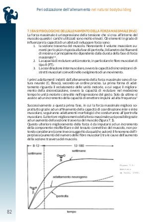 82
Periodizzazione dell’allenamento nel natural bodybuilding
7.1 BASI FISIOLOGICHE DELL’ALLENAMENTO DELLA FORZA MASSIMALE (MxS)
La forza massimale è un’espressione della tensione che si crea all’interno del
muscolo quando i carichi utilizzati sono molto elevati. Gli elementi in grado di
influenzare la capacità di un atleta di sviluppare forza sono:
1. la sezione trasversa del muscolo. Nonostante il volume muscolare au-
menti per lo più in risposta alla fase di ipertrofia, il diametro dei filamenti
di miosina è principalmente dipendente dalla durata della fase di forza
massimale1,2
.
2. La capacità di reclutare unità motorie, in particolare le fibre muscolari di
tipo II (FT).
3. La coordinazione intermuscolare, ovvero la capacità di sincronizzare i di-
stretti muscolari coinvolti nello svolgimento di un movimento.
I primi adattamenti indotti dall’allenamento della forza massimale sono di na-
tura neurale (C. Bosco), secondo un ordine preciso. La prima forma di adat-
tamento riguarda il reclutamento delle unità motorie, a cui segue il migliora-
mento della sincronizzazione, ovvero la capacità di reclutare nel medesimo
tempo le unità motorie coinvolte nell’espressione del gesto. Solo da ultimo si
assiste ad un incremento della capacità di emettere impulsi ad alta frequenza.3
Successivamente a questa prima fase, in cui la forza massimale migliora so-
prattutto grazie ad un affinamento della capacità di coordinazione inter e intra
muscolare, seguiranno adattamenti morfologici che condurranno all’ipertrofia
muscolare. L’ulteriore miglioramento della forza massimale sarà possibile grazie
ad un aumento della sezione trasversa del muscolo (figura 7.1).
Questo ulteriore miglioramento della forza è da imputarsi ad un incremento
della componente miofibrillare e del tessuto connettivo del muscolo, non po-
tendo considerare (come invece suggerito da qualche autore) il fenomeno dell’i-
perplasia (aumento del numero delle fibre muscolari) tra le cause dell’aumento
della sezione trasversa del muscolo.
Figura 7.1:
Adattato
da Sale, 1988.
 