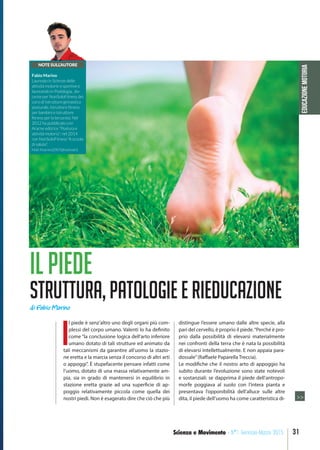 EDUCAZIONEMOTORIA
31Scienza e Movimento - N°1 Gennaio-Marzo 2015
Ilpiede
struttura,patologieerieducazione
I
l piede è senz’altro uno degli organi più com-
plessi del corpo umano. Valenti lo ha definito
come “la conclusione logica dell’arto inferiore
umano dotato di tali strutture ed animato da
tali meccanismi da garantire all’uomo la stazio-
ne eretta e la marcia senza il concorso di altri arti
o appoggi”. È stupefacente pensare infatti come
l’uomo, dotato di una massa relativamente am-
pia, sia in grado di mantenersi in equilibrio in
stazione eretta grazie ad una superficie di ap-
poggio relativamente piccola come quella dei
nostri piedi. Non è esagerato dire che ciò che più
distingue l’essere umano dalle altre specie, alla
pari del cervello, è proprio il piede.“Perché è pro-
prio dalla possibilità di elevarsi materialmente
nei confronti della terra che è nata la possibilità
di elevarsi intellettualmente. E non appaia para-
dossale”(Raffaele Paparella Treccia).
Le modifiche che il nostro arto di appoggio ha
subito durante l’evoluzione sono state notevoli
e sostanziali: se dapprima il piede dell’antropo-
morfe poggiava al suolo con l’intera pianta e
presentava l’opponibilità dell’alluce sulle altre
dita, il piede dell’uomo ha come caratteristica di-
di Fabio Marino
>>
NOTE SULL’AUTORE
Fabio Marino
Laureato in Scienze delle
attività motorie e sportive e
laureando in Podologia, do-
cente per NonSoloFitness dei
corsi di Istruttore ginnastica
posturale, Istruttore fitness
per bambini e Istruttore
fitness per la terza età. Nel
2012 ha pubblicato con
Aracne editrice “Postura e
attività motoria”; nel 2014
con NonSoloFitness “A scuola
di salute”.
Mail: fmarino2007@hotmail.it
 