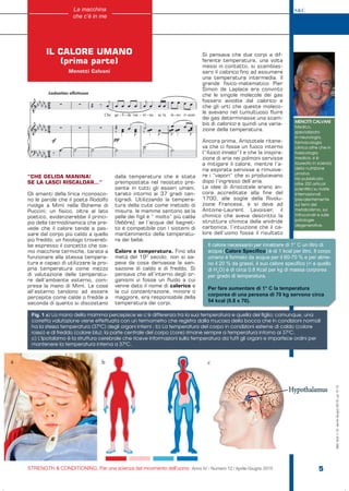 S&C
STRENGTH & CONDITIONING. Per una scienza del movimento dell’uomo Anno IV - Numero 12 / Aprile-Giugno 2015 5
S&C(Ita)n.12,Aprile-Giugno2015,pp.5-12
“CHE GELIDA MANINA!
SE LA LASCI RISCALDAR…”
Gli amanti della lirica riconosco-
no le parole che il poeta Rodolfo
rivolge a Mimì nella Boheme di
Puccini; un fisico, oltre al lato
poetico, evidenzierebbe il princi-
pio della termodinamica che pre-
vede che il calore tende a pas-
sare dal corpo più caldo a quello
più freddo; un fisiologo trovereb-
be espresso il concetto che sia-
mo macchine termiche, tarate a
funzionare alla stessa tempera-
tura e capaci di utilizzare la pro-
pria temperatura come mezzo
di valutazione delle temperatu-
re dell’ambiente esterno, com-
presa la mano di Mimì. Le cose
all’esterno tendono ad essere
percepite come calde o fredde a
seconda di quanto si discostano
dalla temperatura che è stata
preimpostata nel reostato pre-
sente in tutti gli esseri umani,
tarato intorno ai 37 gradi cen-
tigradi. Utilizzando la tempera-
tura della cute come metodo di
misura, le mamme sentono se la
pelle dei figli è “ molto” più calda
(febbre), se l’acqua del bagnet-
to è compatibile con i sistemi di
mantenimento della temperatu-
ra dei bebè.
Calore e temperatura. Fino alla
metà del 190
secolo, non si sa-
peva da cosa derivasse la sen-
sazione di caldo e di freddo. Si
pensava che all’interno degli or-
ganismi vi fosse un fluido a cui
venne dato il nome di calorico e
la cui concentrazione, minore o
maggiore, era responsabile della
temperatura dei corpi.
Si pensava che due corpi a dif-
ferente temperatura, una volta
messi in contatto, si scambias-
sero il calorico fino ad assumere
una temperatura intermedia. Il
grande fisico-matematico Pier
Simon de Laplace era convinto
che le singole molecole dei gas
fossero avvolte dal calorico e
che gli urti che queste moleco-
le avevano nel tumultuoso fluire
dei gas determinasse una scam-
bio di calorico e quindi una varia-
zione della temperatura.
Ancora prima, Aristotele ritene-
va che ci fosse un fuoco interno
(“fuoco innato“ ) e che la inspira-
zione di aria nei polmoni servisse
a mitigare il calore, mentre l’a-
ria espirata servisse a rimuove-
re i “vapori“ che si producevano
dopo l’ingresso dell’aria.
Le idee di Aristotele erano an-
cora accreditate alla fine del
1700, alle soglie della Rivolu-
zione Francese, e si deve ad
Antoine-Laurent Lavoisier, il
chimico che aveva descritto la
struttura chimica della anidride
carbonica, l’intuizione che il ca-
lore dell’uomo fosse il risultato
IL CALORE UMANO
(prima parte)
Menotti Calvani
La macchina
che c’è in me
MENOTTI CALVANI
Medico,
specializzato
in neurologia,
farmacologia
clinica oltre che in
tossicologia
medica, si è
laureato in scienza
della nutrizione
umana.
Ha pubblicato
oltre 200 articoli
scientifici su riviste
internazionali
prevalentemente
sui temi del
metabolismo, sui
mitocondri e sulle
patologie
degenerative.
Fig. 1 a) La mano della mamma percepisce se c’è differenza tra la sua temperatura e quella del figlio; comunque, una
corretta valutazione viene effettuata con un termometro che registra dalla mucosa della bocca che in condizioni normali
ha la stessa temperatura (370
C) degli organi interni ; b) La temperatura del corpo in condizioni esterne di caldo (colore
rosso) e di freddo (colore blu): la parte centrale del corpo (core) rimane sempre a temperatura intorno ai 370
C.
c) L’Ipotalamo è la struttura cerebrale che riceve informazioni sulla temperatura da tutti gli organi e impartisce ordini per
mantenere la temperatura interna a 370
C.
a b c
Il calore necessario per innalzare di 1° C un litro di
acqua (Calore Specifico) è di 1 kcal per litro. Il corpo
umano è formato da acqua per il 60-70 % e per alme-
no il 20 % da grassi, il suo calore specifico (< a quello
di H2
O) è di circa 0.8 Kcal per kg di massa corporea
per grado di temperatura.
Per fare aumentare di 1° C la temperatura
corporea di una persona di 70 kg servono circa
54 kcal (0.8 x 70).
 