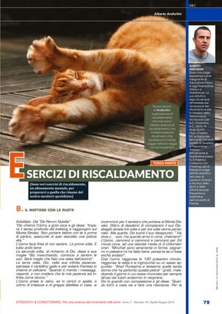 S&C
STRENGTH & CONDITIONING. Per una scienza del movimento dell’uomo Anno V - Numero 16 / Aprile-Giugno 2016 79
S&C(Ita)n.16,Aprile-Giugno2016,pp.79-83
8. IL MATTONE CON LE RUOTE
Antefatto. Dal “De Rerum Nutella”:
“Dio chiamò l’Uomo a gran voce e gli disse: “Impa-
ra il senso profondo del trekking e raggiungimi sul
Monte Elevato. Non portare lattine con te e prima
di partire, assicurati di aver stipulato una polizza
vita.”
L’Uomo fece finta di non sentire. La prima volta. E
tutto andò bene.
La seconda volta, al richiamo di Dio, disse a sua
moglie “Sto invecchiando, comincio a sentire le
voci. Sarà meglio che fissi una visita dall’otorino”.
La terza volta, Dio, nella sua infinita pazienza,
estrasse il cartellino giallo e per evitare fraintesi lo
chiamò al cellulare: “Quando ti mando i messaggi,
rispondi, e non credere che la mia pazienza sia in-
finita come dicono.”
L’Uomo prese lo zaino, se lo caricò in spalla, e
colmo di tristezza e di grappa distillata in casa, si
incamminò per il sentiero che portava al Monte Ele-
vato. Ebbro di desiderio di compiacere il suo Dio,
sbagliò strada tre volte e per tre volte venne perdo-
nato. Alla quarta, Dio tuonò il suo disappunto: “ Vai
dove c... vuoi, ma quando arrivi in cima, chiamami!”
L’Uomo, camminò e camminò e camminò per 24
minuti circa, ad una velocità media di 3 chilometri
orari. “Minchia! sono veramente in forma; segnar-
mi in palestra mi ha fatto bene; pensa te se ci fossi
anche andato!”.
Così l’uomo raggiunse le 120 pulsazioni minuto,
raggiunse la vetta e si inginocchiò su un sasso ap-
puntito. “Ahia! Purissima e levissima quella santa
donna che ha partorito questa pietra! ” gridò, male-
dicendo il giorno in cui aveva rinunciato per sempre
all’uso dei tutori anatomici in neoprene.
Dio lo guardò con compassione e gli disse: “Quan-
do torni a casa vai a farti una risonanza. Per la
S&C
Alberto Andorlini
ALBERTO
ANDORLINI
Dopo una lunga
esperienza come
Insegnante di
Educazione Fisica,
è oggi Preparatore
Atletico e
Riabilitatore. La
sua attività si
lega da sempre
all’interesse per
l’evoluzione del
Movimento e per
lo sviluppo della
Performance.
Ha lavorato per
A.C. Fiorentina,
A.C. Siena, Al
Arabi Sports
Club, Chelsea
f.C. e Nazionale
femminile Calcio in
qualità di Terapista
e Preparatore
Atletico.
Attualmente è
Riabilitatore presso
l’U.S.Palermo.
Collabora con
il Training Lab di
Firenze e svolge
attività didattica
nel corso di
Laurea in Scienza
e Tecnica dello
Sport e delle
Attività Motorie
Preventive e
Adattative
dell’Università di
Firenze.
Nuovo lavoro
di Andorlini:
sugli esercizi di
riscaldamento
che non sono i
classici esercizi di
riscaldamento, ma
moderni esercizi
di pensiero che
riscaldano la mente.
Legga il lettore, legga:
non se ne pentirà.
SERCIZI DI RISCALDAMENTOE TERZA PARTE
(Sono veri esercizi di riscaldamento,
un allenamento mentale, per
prepararci a quello che rimane del
nostro mestiere quotidiano)
 