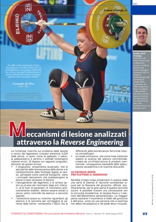 S&C
STRENGTH & CONDITIONING. Per una scienza del movimento dell’uomo Anno V - Numero 16 / Aprile-Giugno 2016 23
S&C(Ita)n.16,Aprile-Giugno2016,pp.23-29
Le numerose ricerche sul problema della lesione
a carico del legamento crociato anteriore (LCA)
nelle donne, in sport come la pallavolo, il calcio,
la pallacanestro e persino il softball contengono
notevoli errori. Si basano sui seguenti pregiudizi,
derivanti da ipotesi errate:
•	 il pregiudizio, ampiamente accettato, che le
peculiarità della biomeccanica delle donne e le
caratteristiche della fisiologia legata al ses-
so, percepite come carenze biologiche, siano
i principali meccanismi che predispongono le
donne a tassi eccessivi di lesione;
•	 l’allungamento dei legamenti o lo stress po-
sto su di essi dai movimenti degli arti inferio-
ri, al di fuori di parametri di movimento arbi-
trariamente stabiliti, devono essere evitati e
tenuti sotto controllo da esercizi e tecniche
speciali;
•	 l’attenzione posta su ricerche riguardanti gli
esercizi e le tecniche per correggere le ca-
renze delle donne, nonostante il fatto che le
differenze della biomeccanica femminile resti-
no immodificate;
•	 la totale confusione, che come linea indistinta
separa la scienza dal settore commerciale,
creata da un’infrastruttura di prodotti com-
merciali, conseguenza inevitabile della specu-
lazione accademica e di ricerche discutibili.
LA CAVIGLIA SERVE
PER FLETTERE IL GINOCCHIO
Sarebbe troppo lungo presentare in questa sede
una serie di esempi di tecniche considerate si-
cure per la flessione del ginocchio, affondi, ecc.
Chiaramente, per la gran parte di queste tecniche
sicure, è possibile trovare una connessione con
la comunità accademica, la terapia fisica o il set-
tore dell’allenamento personalizzato. La maggior
parte sostiene il movimento a livello del ginocchio
e dell’anca, come se una persona che si esercita
non abbia nel polpaccio e nel piede alcun muscolo,
eccanismi di lesione analizzati
attraverso la Reverse Engineering
Andrew Charniga, Jr.
M
Andrew “Bud”
Charniga
Scienziato del
sollevamento pesi
e allenatore.
Laurea in Scienze
Motorie alla
Eastern Michigan
University (USA) e
Master in
Kinesioterapia alla
Università di
Toledo (SPA).
Fondatore, nel
1980, di Sportivny
Press. Ha editato
15 libri tradotti
dal russo e molte
decine di articoli
sull’allenamento
nel sollevamento
pesi, sulla
biomeccanica, sul
recupero, ecc.
Leonardo da Vinci
1452–1519
“Se nella vostra esperienza trovate
che qualcosa è un dato di fatto ed è in
contraddizione con quanto un’autorità
ha scritto, è necessario abbandonare il
parere dell’autorità e basare il proprio
ragionamento sui propri risultati”
(citata nell’Opera “Seeing the Body: The
Divergence of Ancient Chinese and Western
Medical Illustration”, Camillia Matuk, Journal
of Biocommunication, Vol. 32, No. 1, 2006)
 