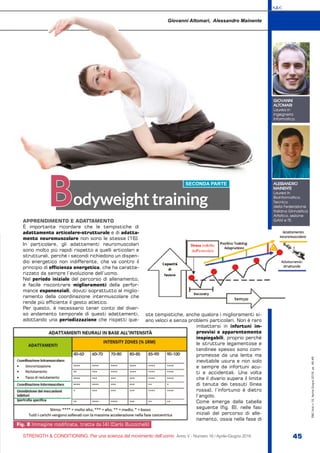S&C
STRENGTH & CONDITIONING. Per una scienza del movimento dell’uomo Anno V - Numero 16 / Aprile-Giugno 2016 45
S&C(Ita)n.16,Aprile-Giugno2016,pp.45-49
APPRENDIMENTO E ADATTAMENTO
È importante ricordare che le tempistiche di
adattamento articolare-strutturale e di adatta-
mento neuromuscolare non sono le stesse [16].
In particolare, gli adattamenti neuromuscolari
sono molto più rapidi rispetto a quelli articolari e
strutturali, perché i secondi richiedono un dispen-
dio energetico non indifferente, che va contro il
principio di efficienza energetica, che ha caratte-
rizzato da sempre l’evoluzione dell’uomo.
Nel periodo iniziale del percorso di allenamento,
è facile riscontrare miglioramenti della perfor-
mance esponenziali, dovuti soprattutto al miglio-
ramento della coordinazione intermuscolare che
rende più efficiente il gesto atletico.
Per questo, è necessario tener conto del diver-
so andamento temporale di questi adattamenti,
adottando una periodizzazione che rispetti que-
ste tempistiche, anche qualora i miglioramenti si-
ano veloci e senza problemi particolari. Non è raro
imbattersi in infortuni im-
provvisi e apparentemente
inspiegabili, proprio perché
le strutture legamentose e
tendinee spesso sono com-
promesse da una lenta ma
inevitabile usura e non solo
e sempre da infortuni acu-
ti e accidentali. Una volta
che il divario supera il limite
di tenuta dei tessuti (linea
rossa), l’infortunio è dietro
l’angolo.
Come emerge dalla tabella
seguente (fig. 8), nelle fasi
iniziali del percorso di alle-
namento, ossia nella fase di
Bodyweight training
GIOVANNI
ALTOMARI
Laurea in
Ingegneria
Informatica.
ALESSANDRO
MAINENTE
Laurea in
Bioinformatica,
Tecnico
della Federazione
Italiana Ginnastica
Artistica, sezione
GAM e TE.
Giovanni Altomari, Alessandro Mainente
SECONDA PARTE
Fig. 8 Immagine modificata, tratta da [4] (Carlo Buzzichelli)
 