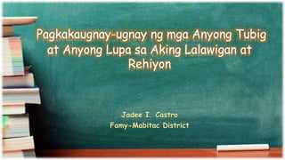Jadee I. Castro
Famy-Mabitac District
Pagkakaugnay-ugnay ng mga Anyong Tubig
at Anyong Lupa sa Aking Lalawigan at
Rehiyon
 