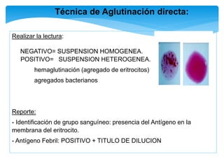 Realizar la lectura:
NEGATIVO= SUSPENSION HOMOGENEA.
POSITIVO= SUSPENSION HETEROGENEA.
hemaglutinación (agregado de eritrocitos)
agregados bacterianos
Reporte:
- Identificación de grupo sanguíneo: presencia del Antígeno en la
membrana del eritrocito.
- Antígeno Febril: POSITIVO + TITULO DE DILUCION
Técnica de Aglutinación directa:
 