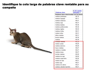 Identifique la cola larga de palabras clave rentable para su
campaña
 