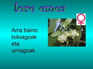 Arra baino
txikiagoak
eta
urriagoak
 