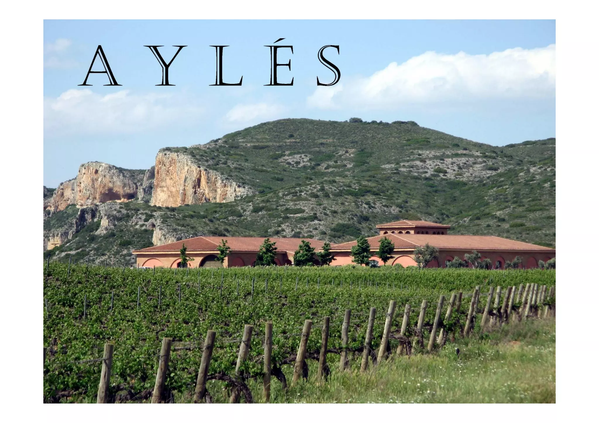 Pago Ayles   Linkedin