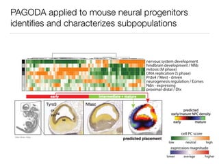 PAGODA applied to mouse neural progenitors
identiﬁes and characterizes subpopulations
Allen Brain Atlas
 