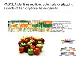 PAGODA identiﬁes multiple, potentially overlapping
aspects of transcriptional heterogeneity
 