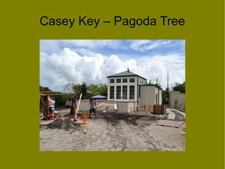 Casey Key – Pagoda Tree
 