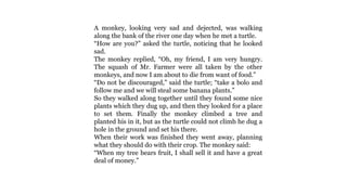 A monkey, looking very sad and dejected, was walking
along the bank of the river one day when he met a turtle.
“How are you?” asked the turtle, noticing that he looked
sad.
The monkey replied, “Oh, my friend, I am very hungry.
The squash of Mr. Farmer were all taken by the other
monkeys, and now I am about to die from want of food.”
“Do not be discouraged,” said the turtle; “take a bolo and
follow me and we will steal some banana plants.”
So they walked along together until they found some nice
plants which they dug up, and then they looked for a place
to set them. Finally the monkey climbed a tree and
planted his in it, but as the turtle could not climb he dug a
hole in the ground and set his there.
When their work was finished they went away, planning
what they should do with their crop. The monkey said:
“When my tree bears fruit, I shall sell it and have a great
deal of money.”
 